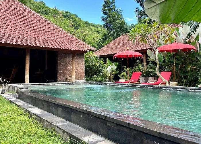 The Jungle House Amed