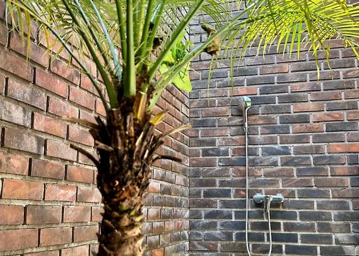 The Jungle House Villa