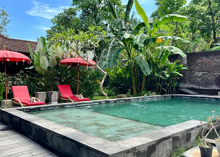 The Jungle House *